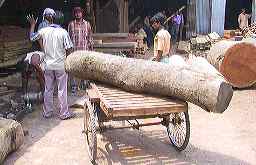 log-on-rickshaw